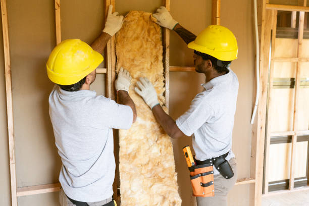 Best Wall Insulation Installation  in Rosemont, IL